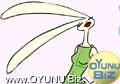 Rabbit
Fashion play games