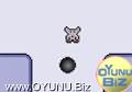 Cat
mouse play games