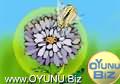 Bug
Invasion play games